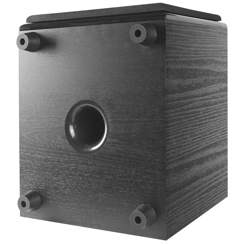 Black wood-grain textured 10 inch high power sub woofer with wooden piano painting for type beat music use