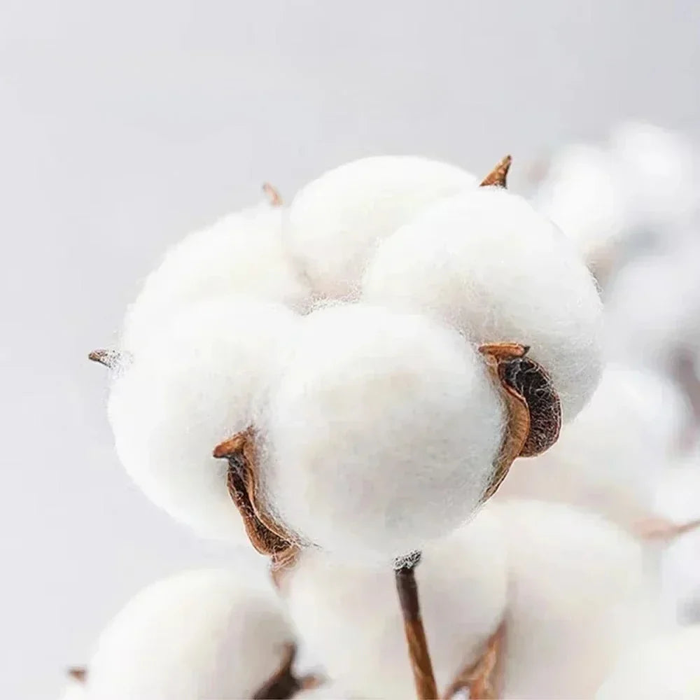 Plush white cotton bolls highlighting pure cotton material in rapper playboi carti harajuku hip hop vintage t shirt design