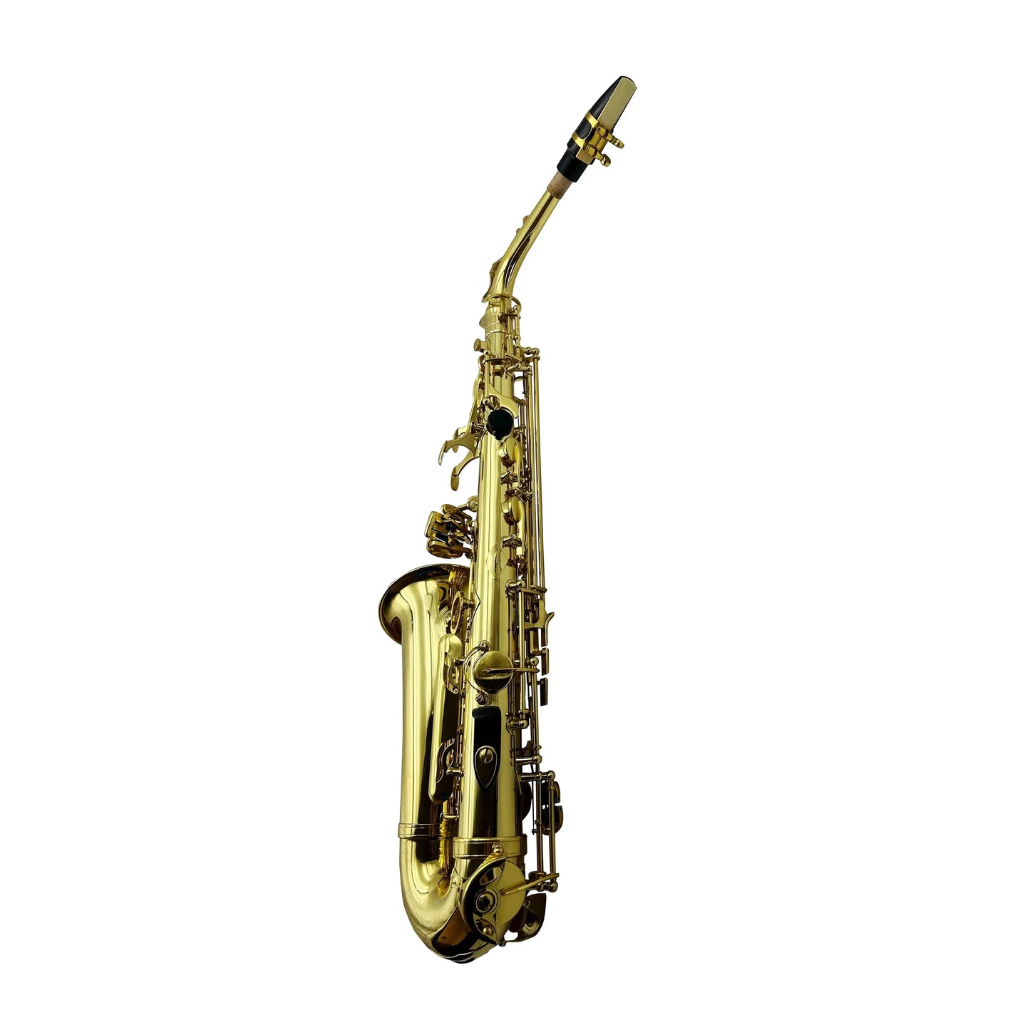 Gold lacquer alto saxophone jyas102y2z with polished brass body and black key accents by seasound professional oem