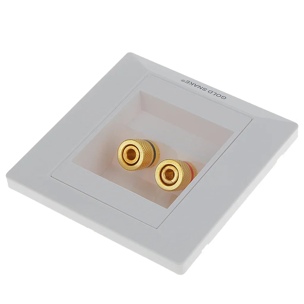 White gold snake brand audio surround wall face plate with two gold binding post banana plug rca connectors backside
