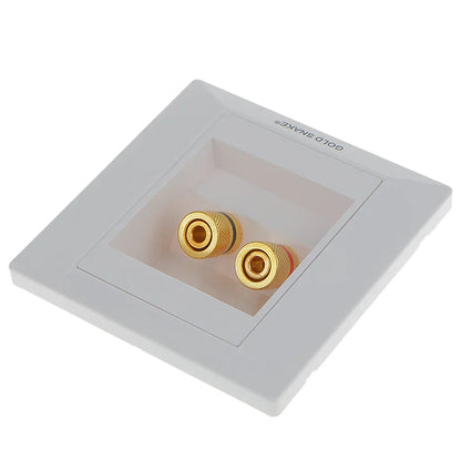 White gold snake brand audio surround wall face plate with two gold binding post banana plug rca connectors backside