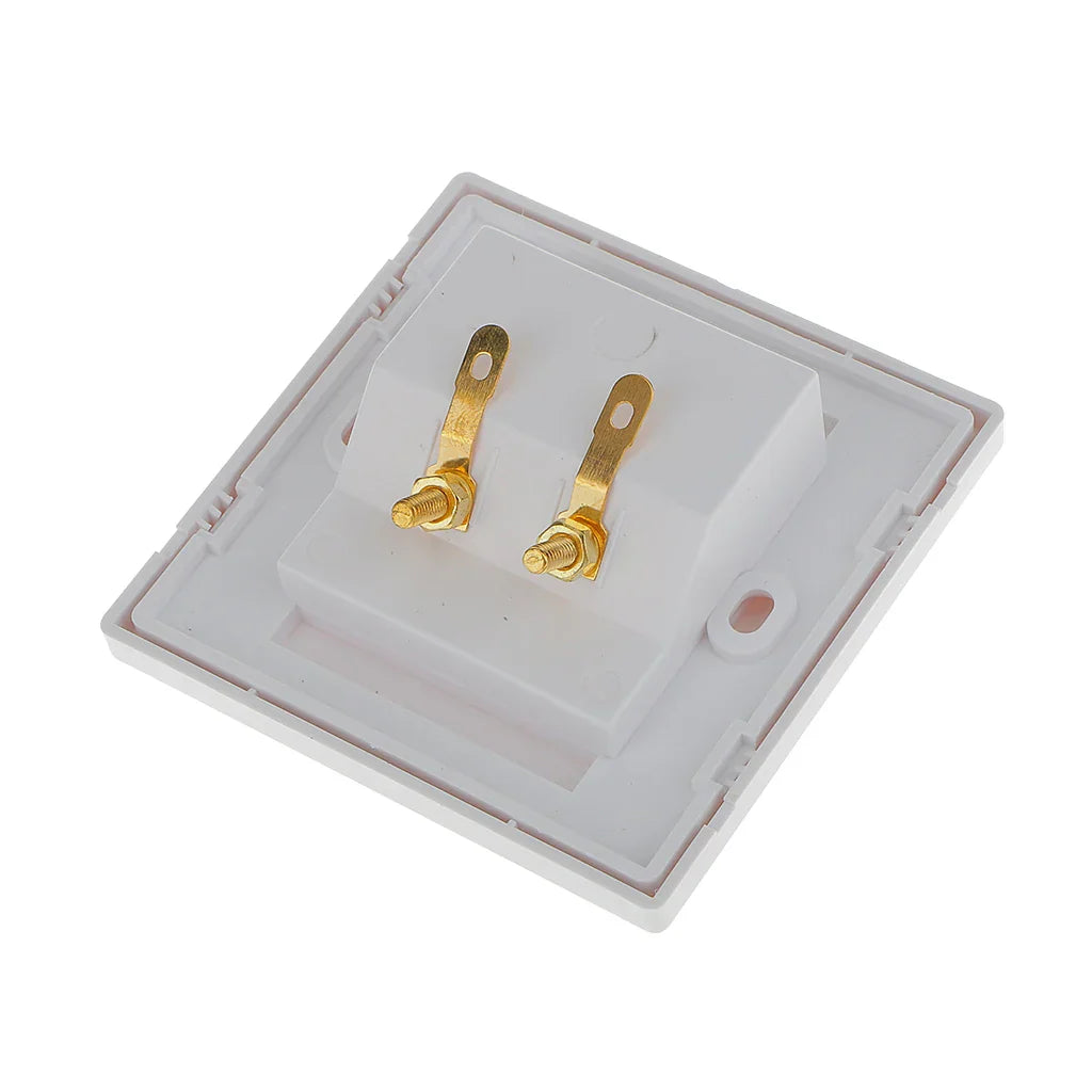 White plastic wall-mounted electrical switch with two gold-colored terminal screws for banana plug audio surround wall use
