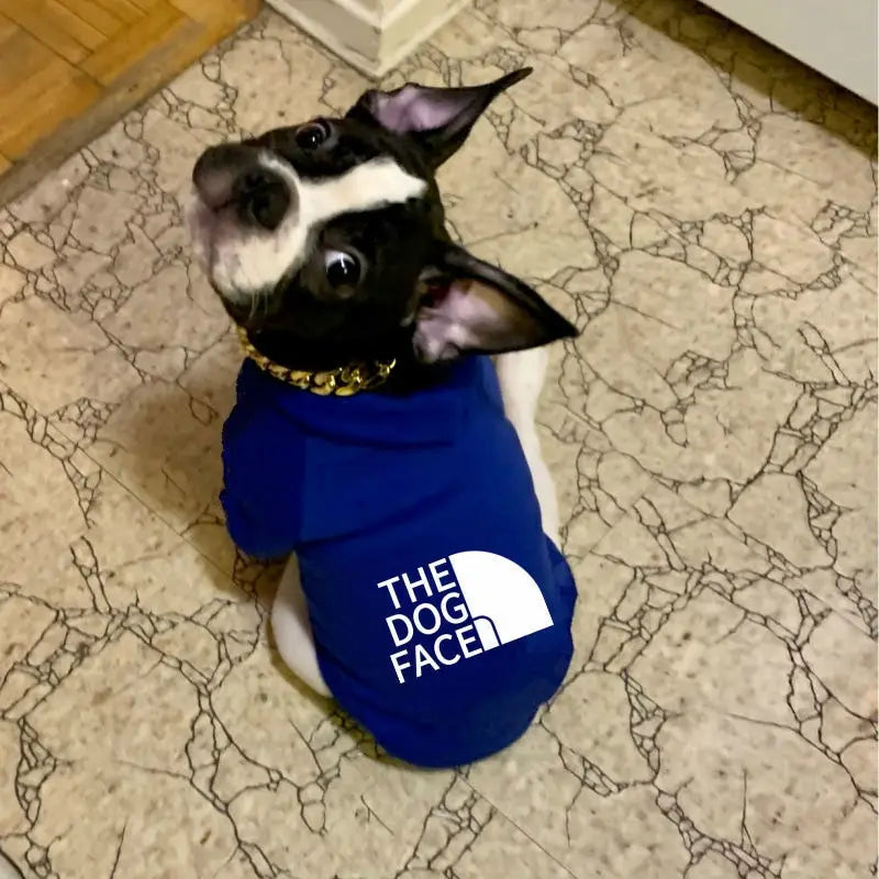 A black and white boston terrier wearing a blue warm dog hoodie with the dog face print for chihuahua french bulldog fans