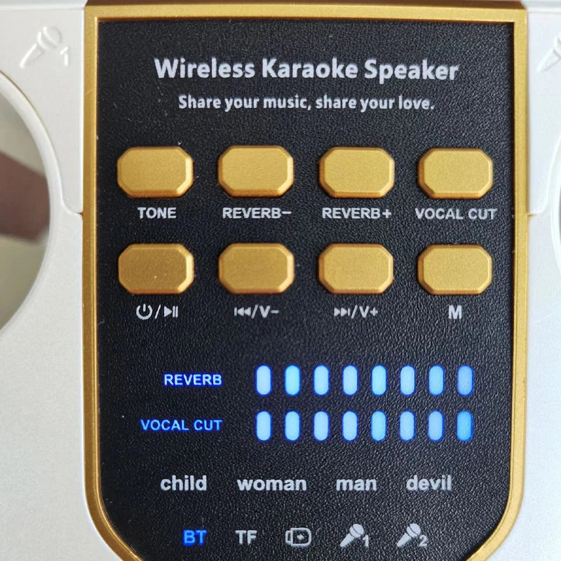 Wireless stereo surround karaoke speaker with black control panel gold octagonal buttons and blue led indicators waterproof wireless subwoofer