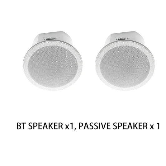 Pair of white circular quality ceiling speakers with mesh grille and metallic finish for theater background music home use