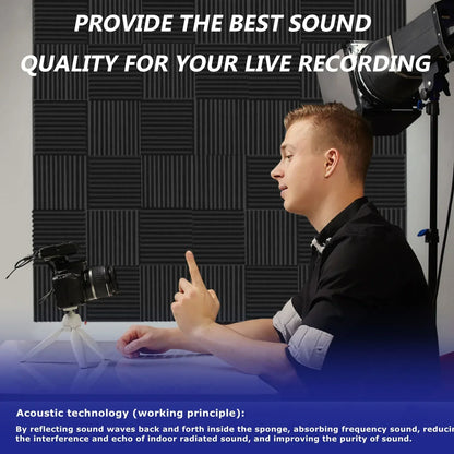 Black acoustic foam panels with vertical ridges used as soundproofing wedge tiles for studio foam panels treatment