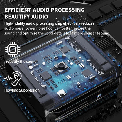 Professional TEYUN Q12M 2Channels Audio Mixer sound console mini USB Audio Interface card MIXER for PC Guitar Recording Studio