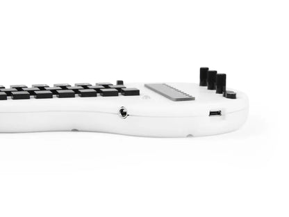 Minichord Synthesizer Mini Chord Synthesizer Musicians Musical Device, USB MIDI,Open Source, 21 Chord Selector Buttons, Custom