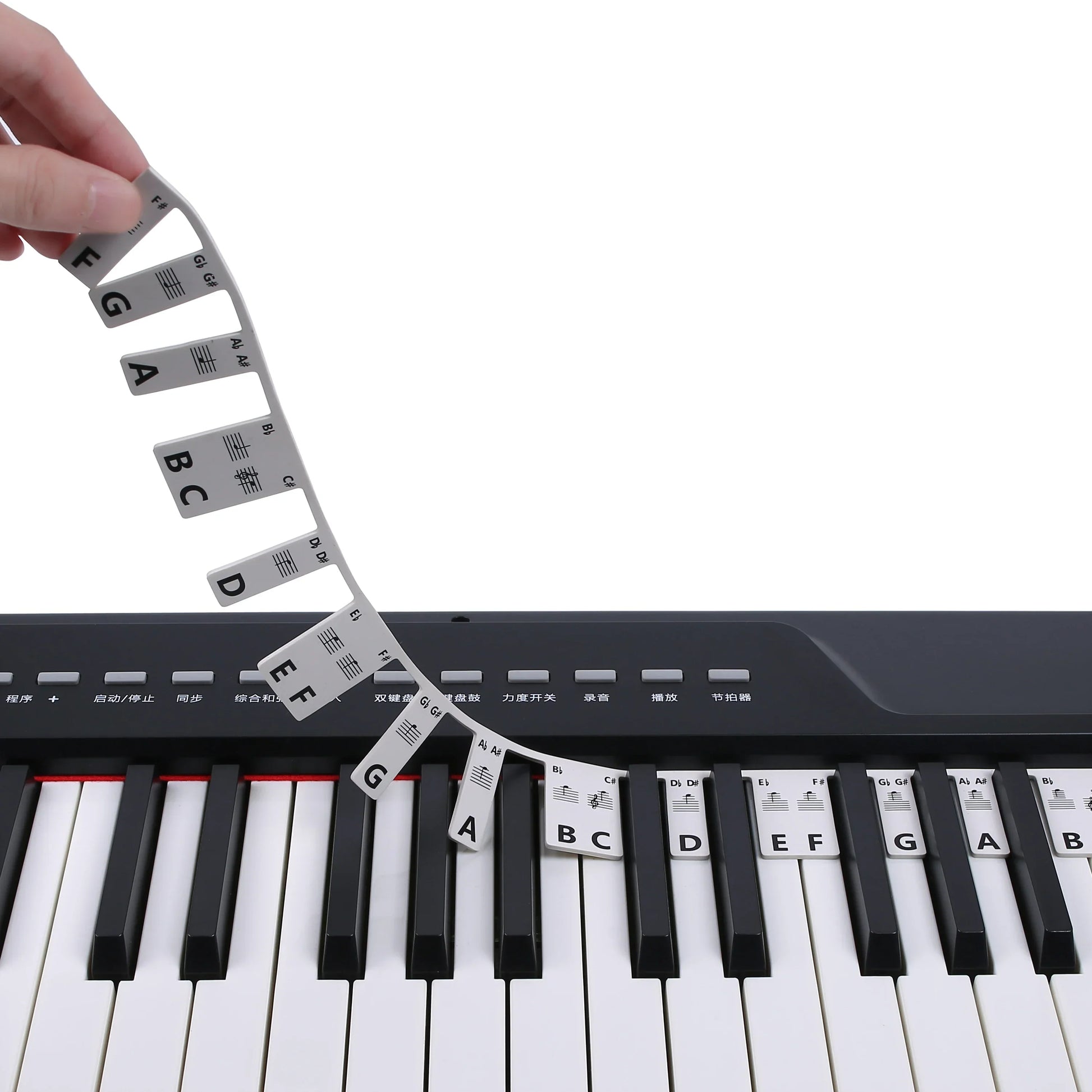 A flexible white silicone strips piano keyboard note labels with black lettering for 61 and 88 keys beginners guide