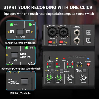 Professional TEYUN Q12M 2Channels Audio Mixer sound console mini USB Audio Interface card MIXER for PC Guitar Recording Studio