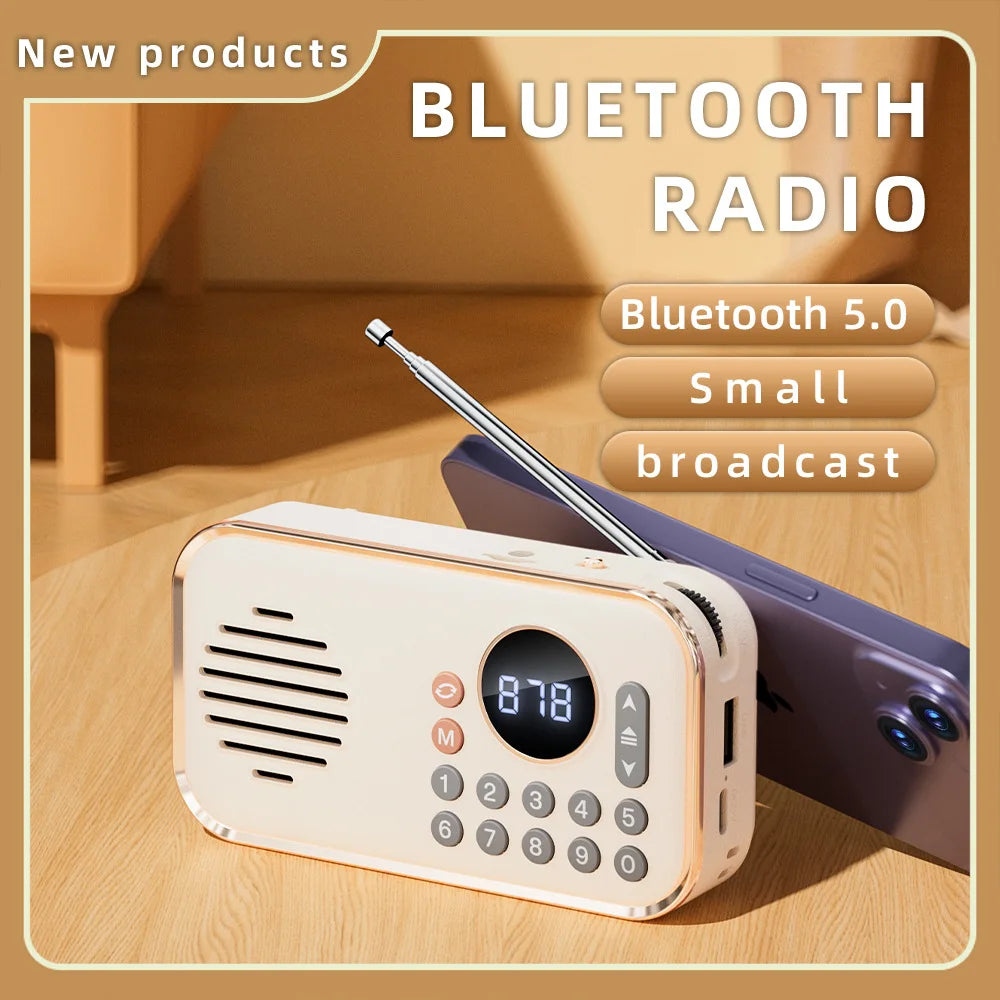 Wireless Stereo Bluetooth Speaker with Multi-band Radio Function HIFI Sound Support BT U Disk TF Card Mini Portable Super Bass
