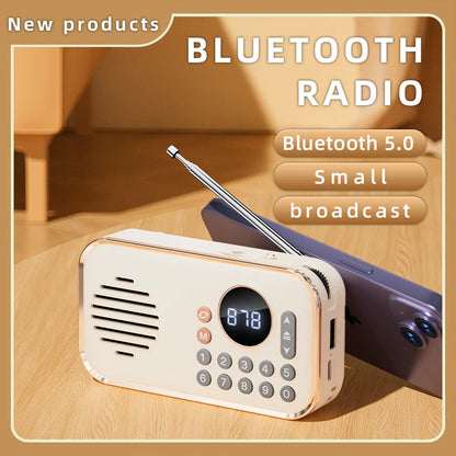 Wireless Stereo Bluetooth Speaker with Multi-band Radio Function HIFI Sound Support BT U Disk TF Card Mini Portable Super Bass