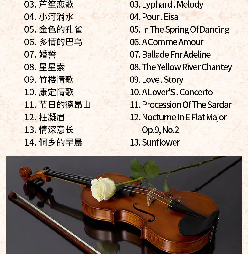 Chinese Pure light music cd instrument classical famous music piano violin guzheng cd car CD music