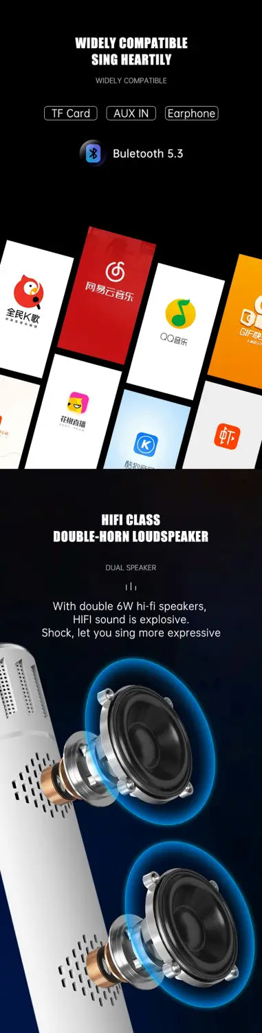 2 in 1 Karaoke Wireless Microphone Handheld Singing Mic With Bluetooth Speakers Portable Condenser for Phone Car Support TF Card