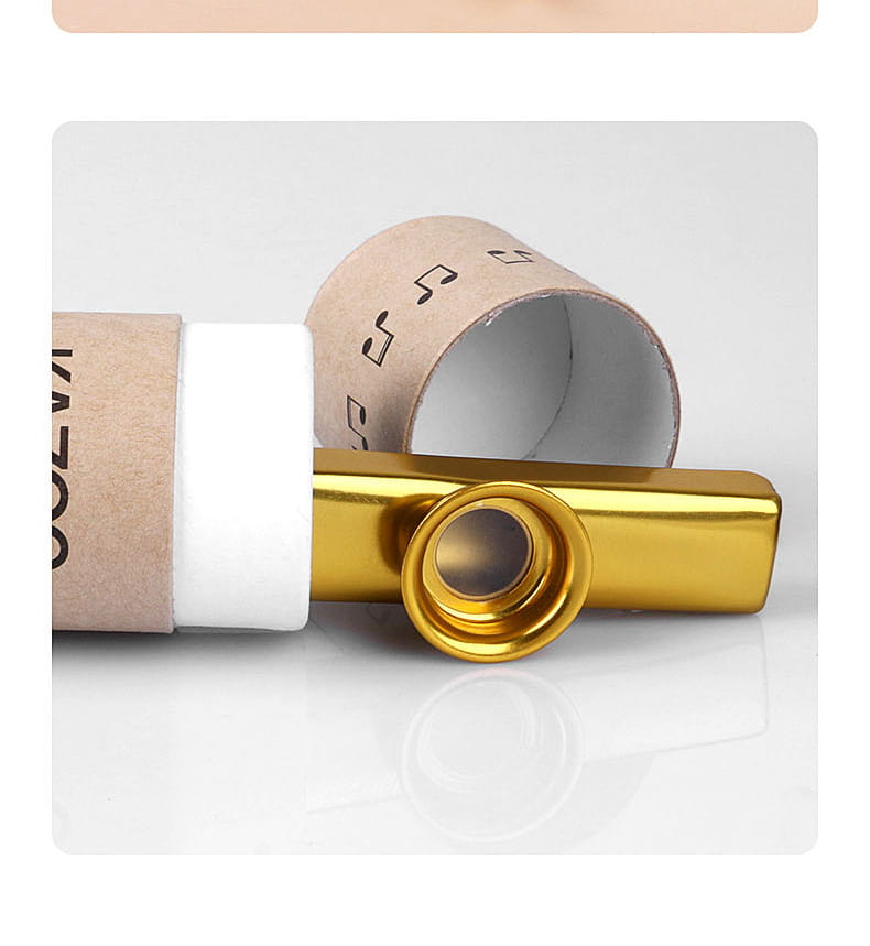 Metal Kazoo Musical Instruments with 5 Pcs Flute film Gift Simple And Easy To Learn Musical Instruments