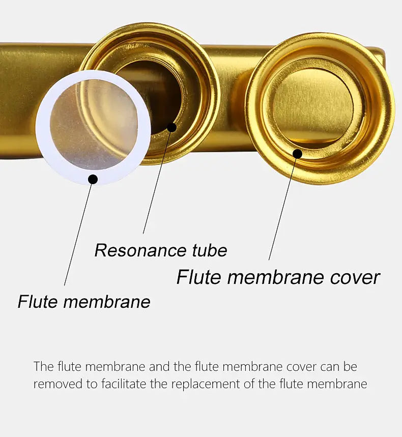 Metal Kazoo Musical Instruments with 5 Pcs Flute film Gift Simple And Easy To Learn Musical Instruments