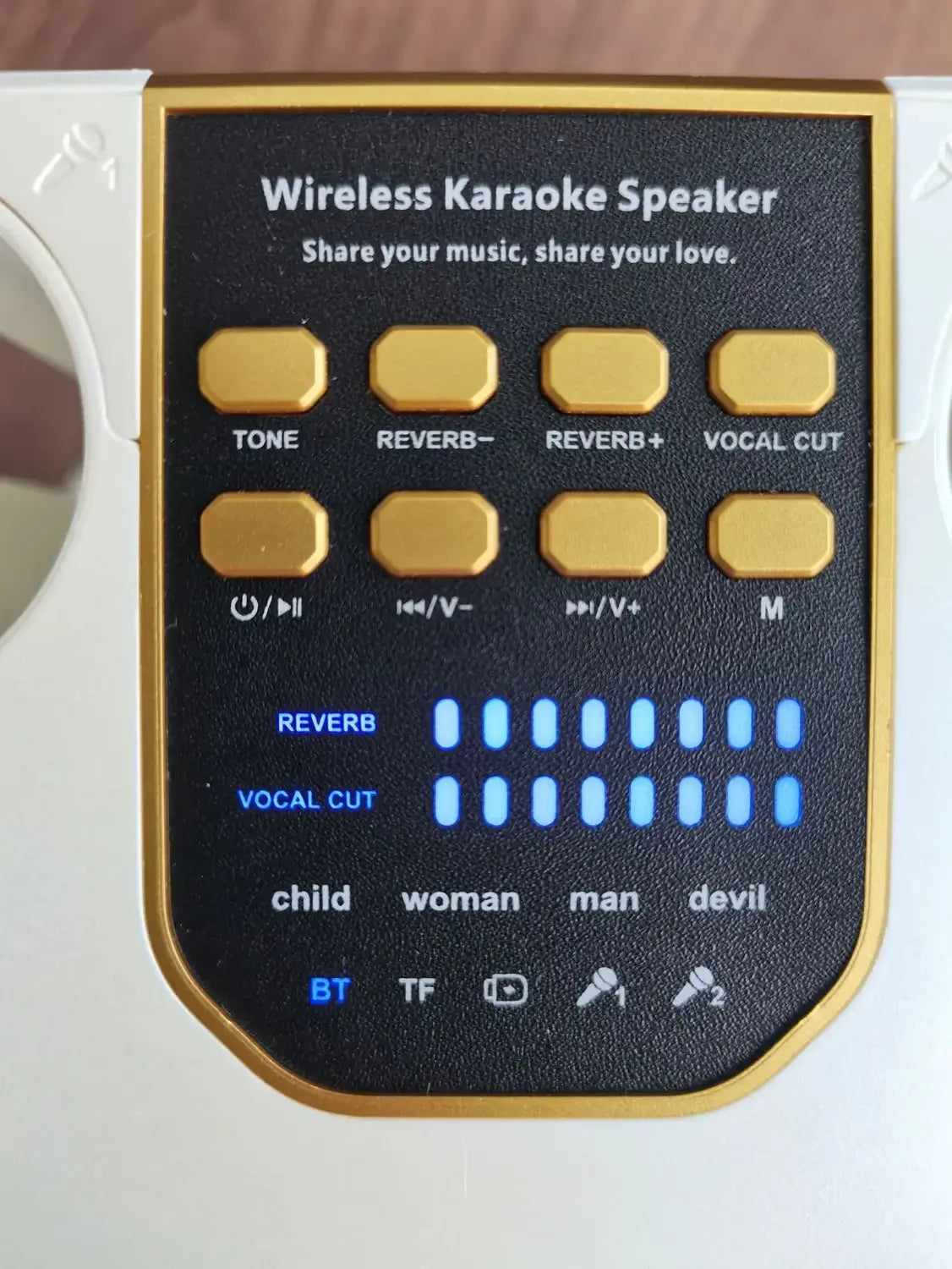 360 Stereo Surround Karaoke With Dual Microphone High Power Bluetooth Speaker Boombox Portable Waterproof Wireless Subwoofer