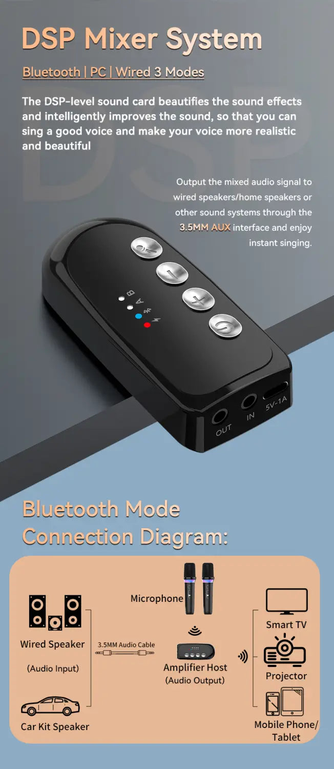 DS-K2 Karaoke Companion Bluetooth 5.3 Wireless Moving-Coil Microphone With RGB Light KTV DSP Mixer System For Wired Speaker Car
