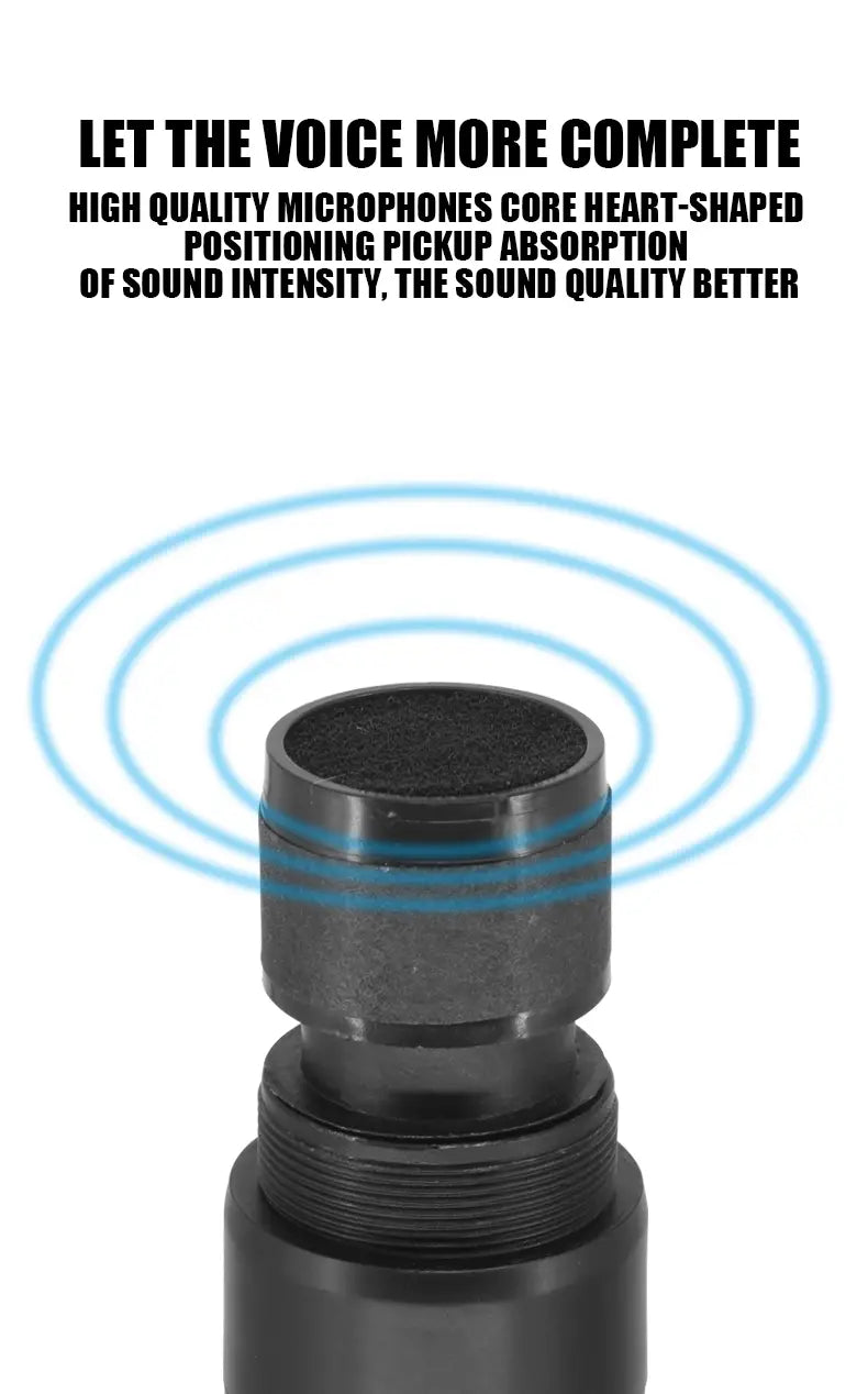 Professional Wireless Microphone 4 Channels Karaoke Handheld Chargeable Easy Use Outdoor With Suitcase
