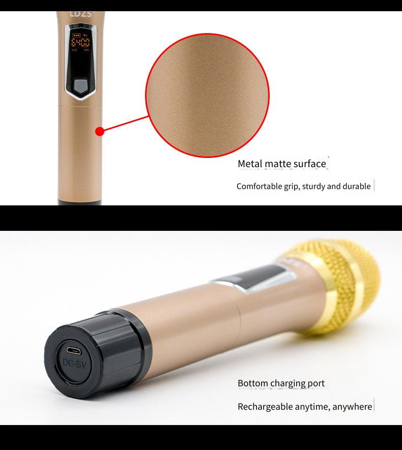 One Drive Two Wireless Microphone U-segment for Karaoke Stage Speeches Wedding Performance Hip Hop Live Broadcast