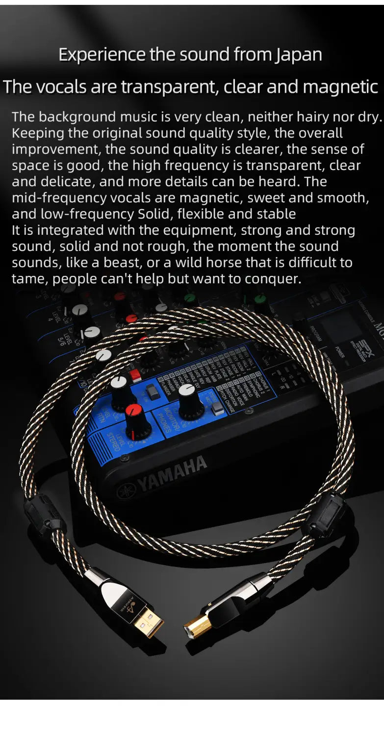 Canare HiFi USB OTG Cable 6N OFC Type C to Type B USB Cable Type A to B Audio Cable for Decoder DAC Sound Card