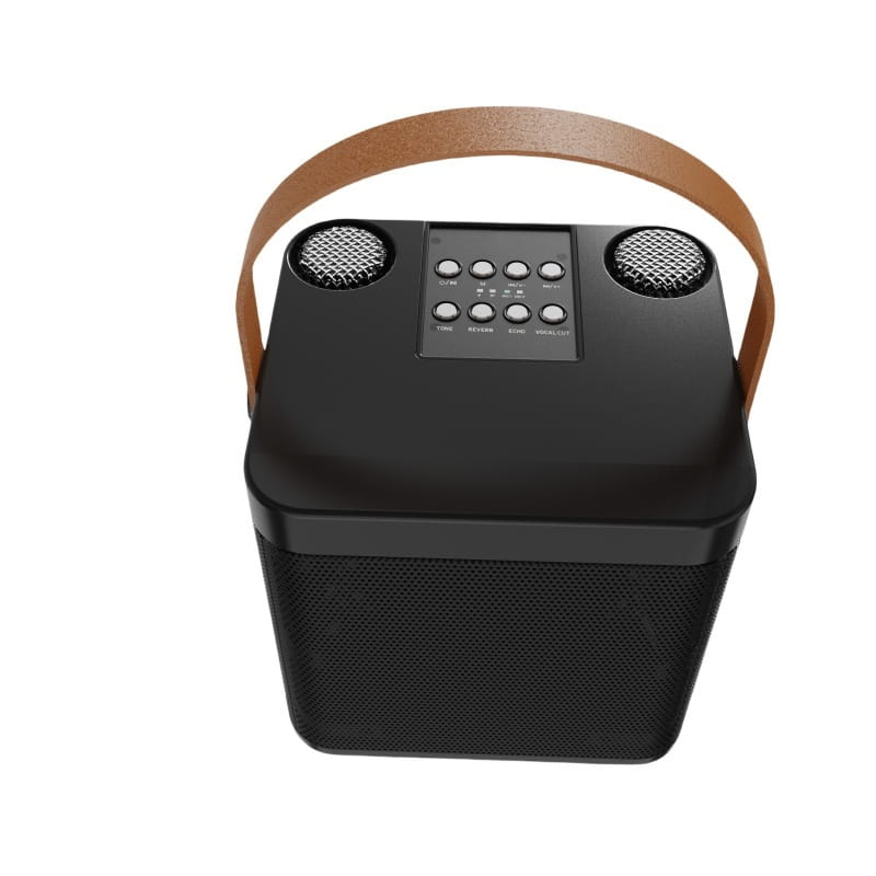 Karaoke Machine for Adults & Kids Portable 60W Speaker Rechargeable 2 Wireless Microphones Music for Party Holidays Teenagers