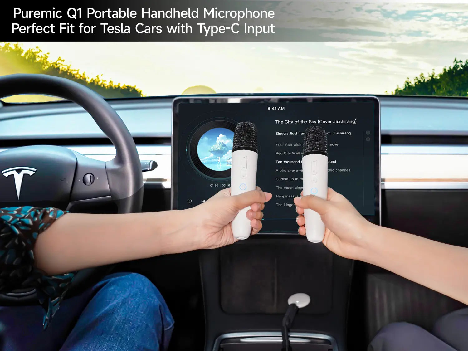 Q1-Tesla Car Karaoke Microphone for Tesla Model Y/3/X/Cybertruck Rechargeable Caraoke Mic with USB-A & USB-C Receiver