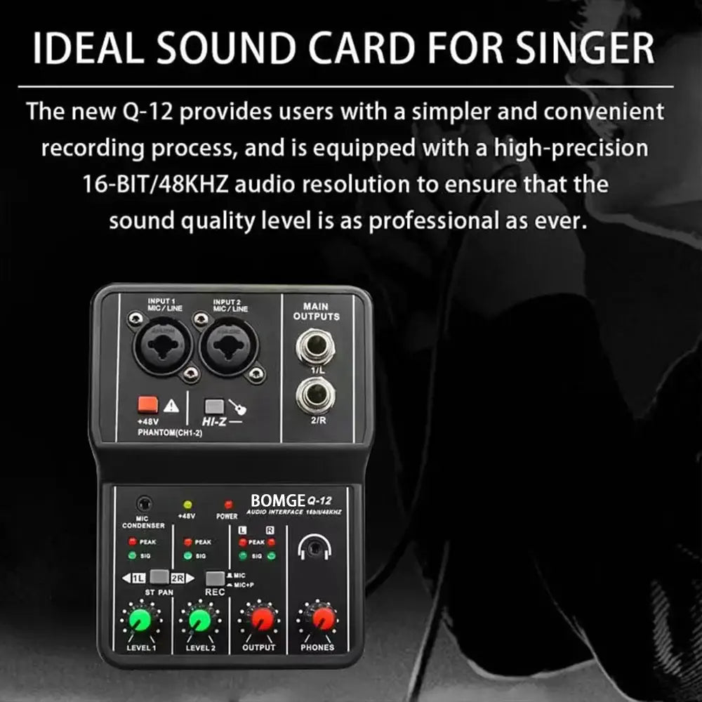 2 Channels Professional Portable Audio Interface Sound Card Console Mini USB MIXER for Guitar Recording Studio Singing TEYUN Q12