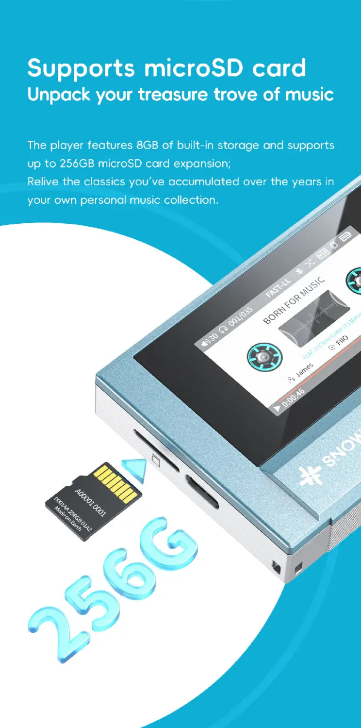 In Stock Fiio Snowsky Echo Mini Wireless Bluetooth Mp3 Walkman 8GB Custom Support Dsd Retro Portable Bluetooth Player Music Gift