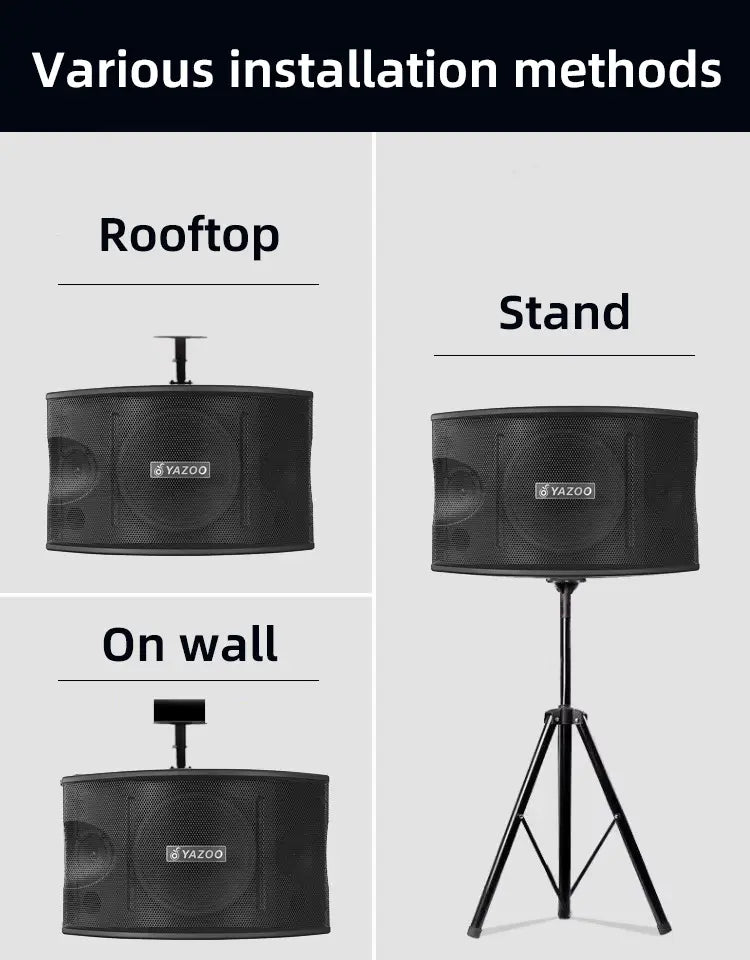 Karaoke Speaker 10inch Speaker Box for Disco