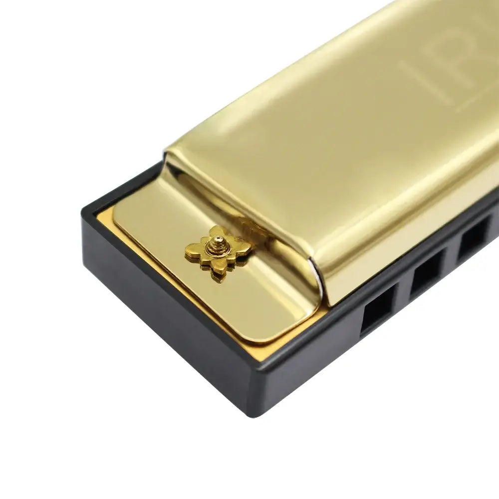IRIN Harmonica 10 Hole 20 Tones Harmonica Mouth Organ Suitable For Music Enthusiasts Woodwind Instrument Harmonica Gifts