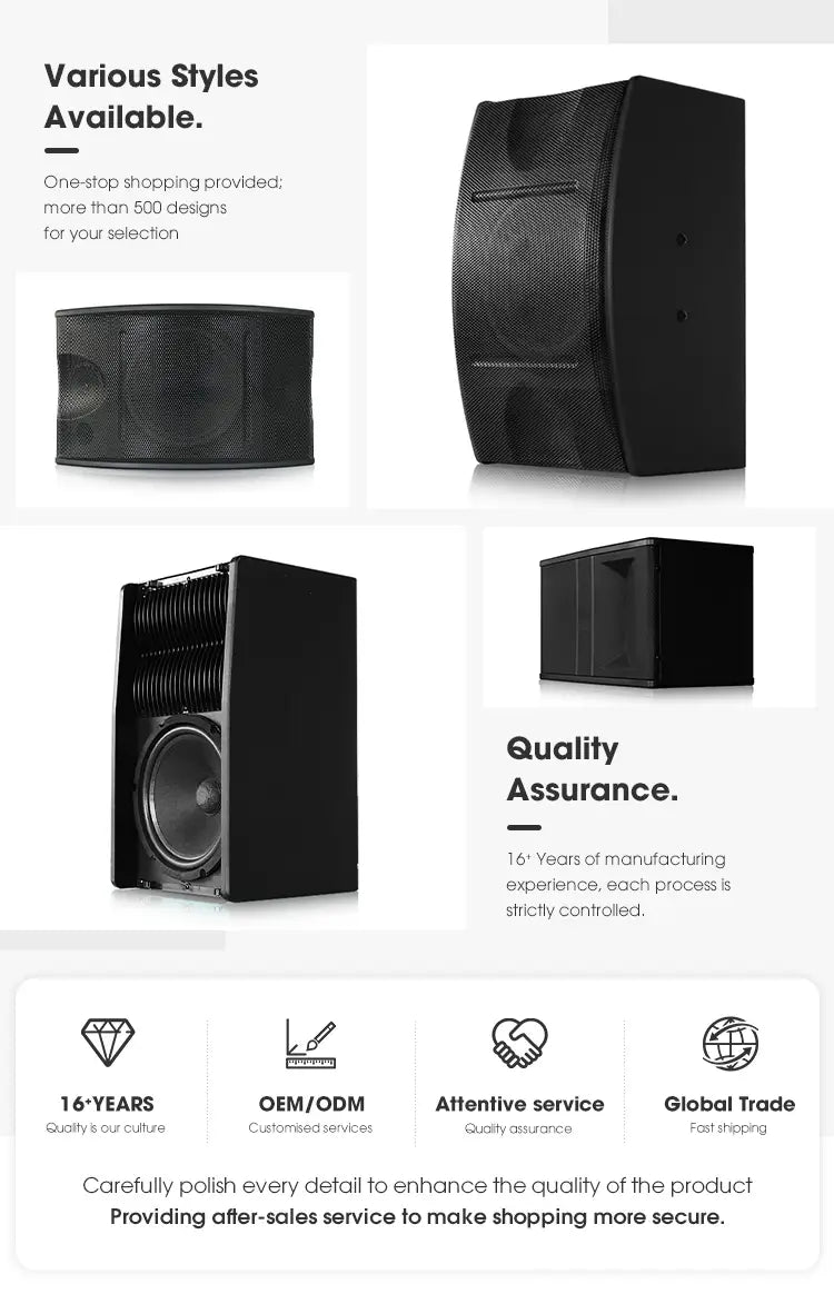 Karaoke Speaker 10inch Speaker Box for Disco