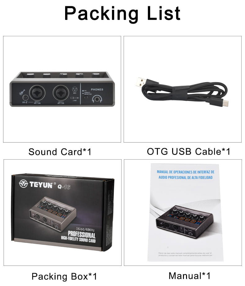 TEYUN Echo Effects 2 Input Audio Interface PC Studio Recording for Electric Guitar External Sound Card 48V Live Podcast Q-16