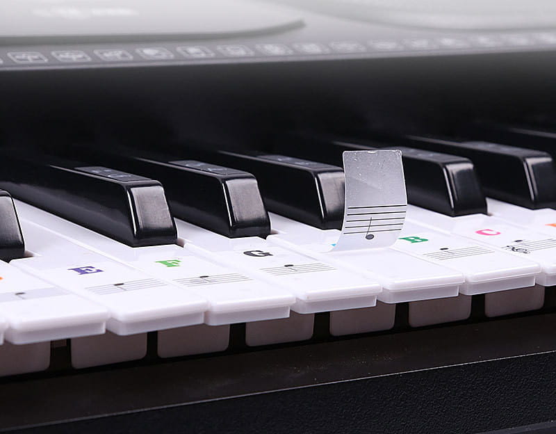 Transparent Piano Keyboard Stickers 49/54/61/88 Key Detachable Music Decal Notes Electronic Piano Piano Spectrum Sticker Symbol