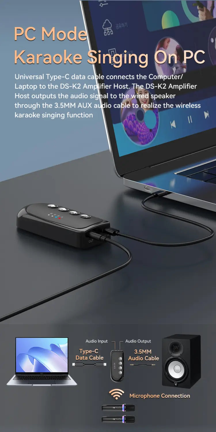 DS-K2 Karaoke Companion Bluetooth 5.3 Wireless Moving-Coil Microphone With RGB Light KTV DSP Mixer System For Wired Speaker Car