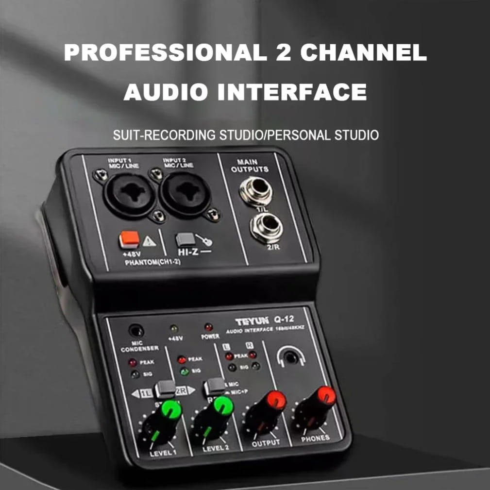 2 Channels Professional Audio Interface Sound Card Console Portable Mini USB MIXER for Guitar Recording Studio Singing TEYUN Q12