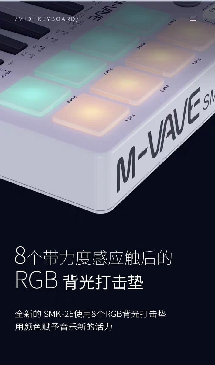25 Key Portable MIDI Keyboard Controller with Drum Pads Wireless Bluetooth Connectivity for Music Production