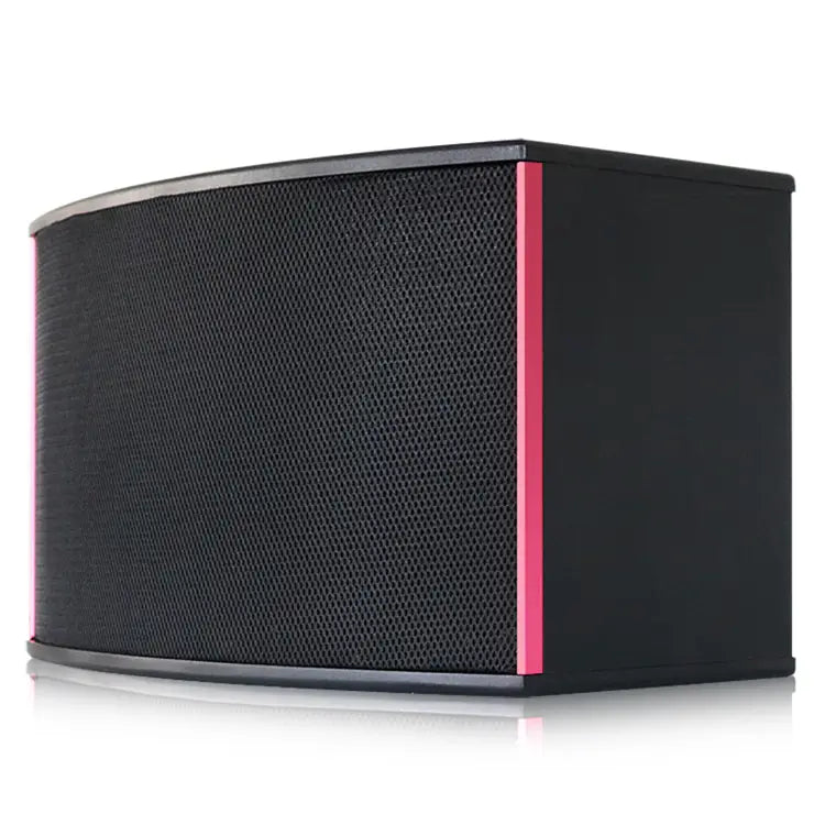 Karaoke Speaker 10inch Speaker Box for Disco