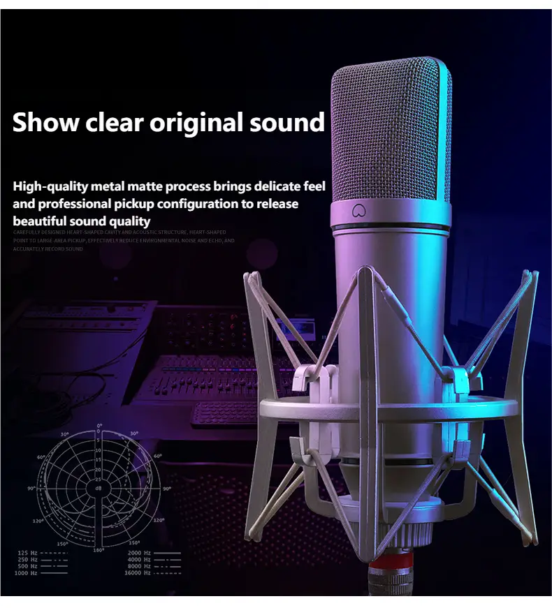 Top Studio Metal U87 Condenser Microphone Professional Cardioid Studio Mic for Recording Podcasting Voice Over Streaming Home
