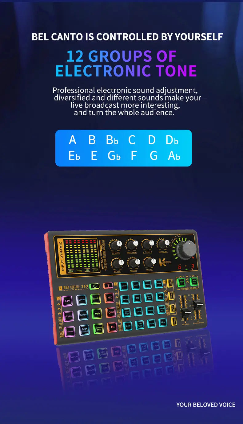 SK300 Sound Card Audio interface Mixer Professionale Studio equipment Voice Changer Multiple Audio Effects For Live Record Video