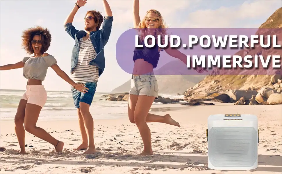 360 Stereo Surround Karaoke With Dual Microphone High Power Bluetooth Speaker Boombox Portable Waterproof Wireless Subwoofer