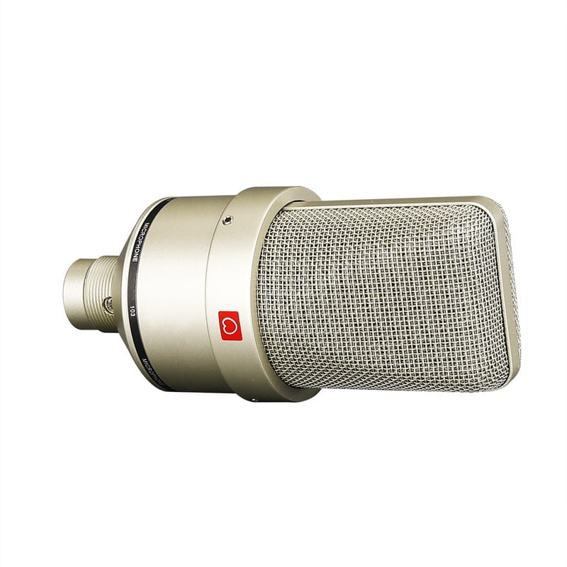 Professional Condenser Microphone Studio For PC Laptop Computer Mic Karaoke Singing Streaming Wired Mikrofon Mike Sound Microphn
