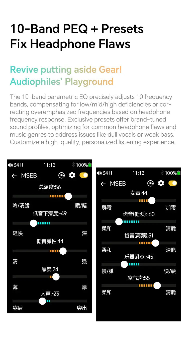 TempoTec Variations V1,IM05 IM01 earphones HiFI music player USB DAC DAP,headphone amplifier 4.4mm&3.5mm ports PEQ,