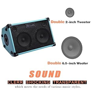 Coolmusic-Battery Powered Acoustic Guitar Amplifier Ukelele Portable Outdoor Smart Speaker with Microphone Rechargeable 80W