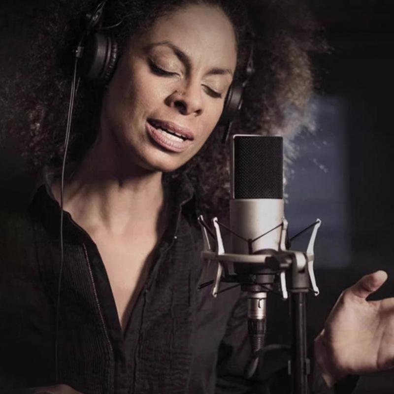 652F Professional Condenser Studio Vocal Recording Large Diaphragm Microphone 48V for Computer Gaming Live Streaming