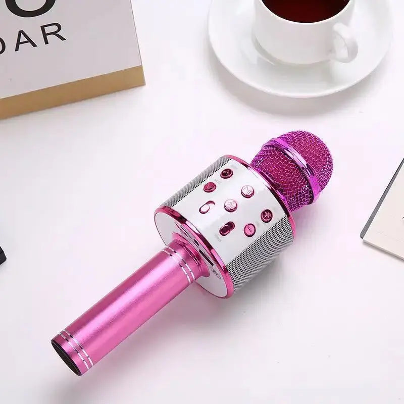 Karaoke Microphone for Kids & Adults Echo Effect Built-in Speaker Portable Karaoke Player for Party Travel Gifts