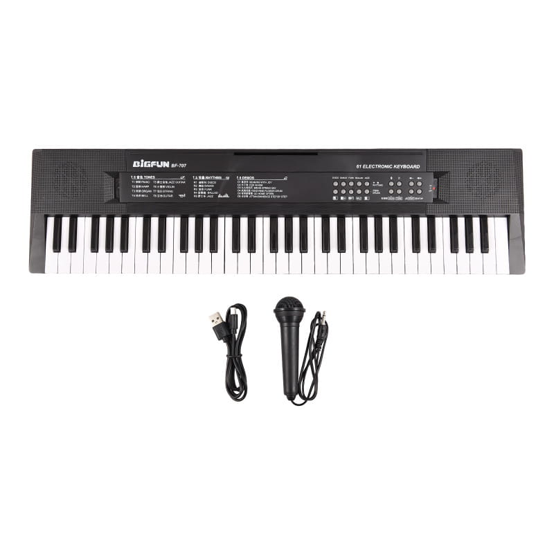 61 Key Mini Electronic Piano 8 Tones Rhythms Microphone Recording Dual Power Portable Keyboard for Beginners Kids