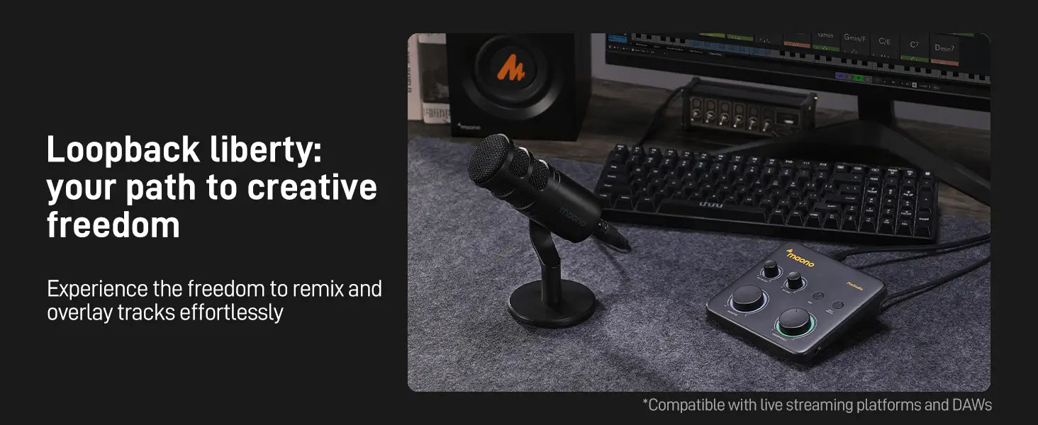 MAONO PS22 Lite USB Audio Interface for PC XLR Input 24-bit/192kHz Routing Software Loopback ASIO for Recording Music Guitar DAW