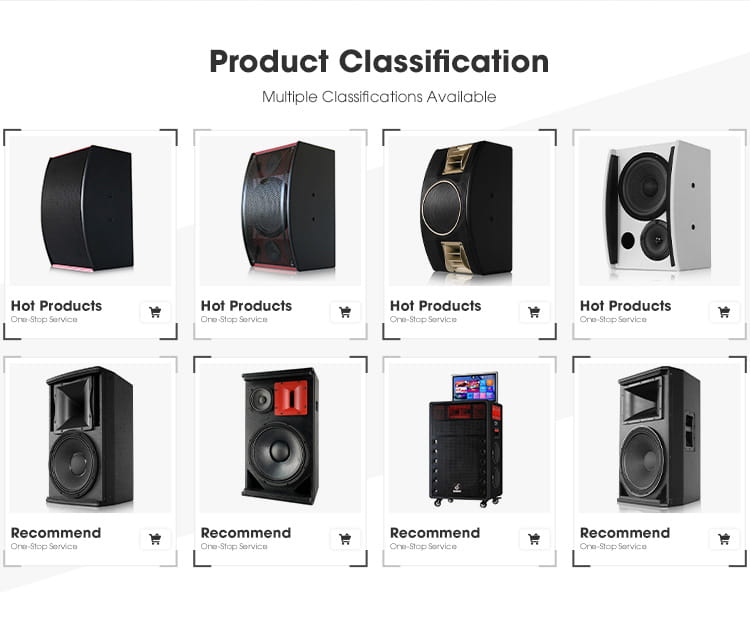 Karaoke Speaker 10inch Speaker Box for Disco