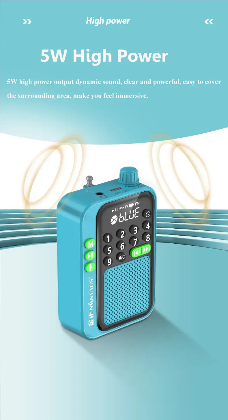 Mini Portable FM Radio Best Reception Radios 5W Wireless Bluetooth Speaker TF Card U Disk Music MP3 Player Support HD Rcording